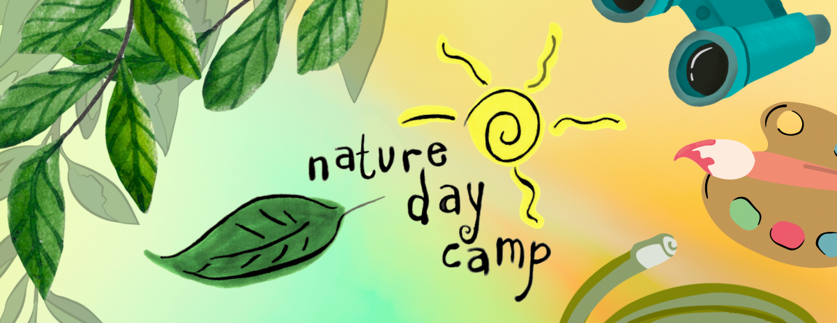 Week 10: Summer Nature Day Camp